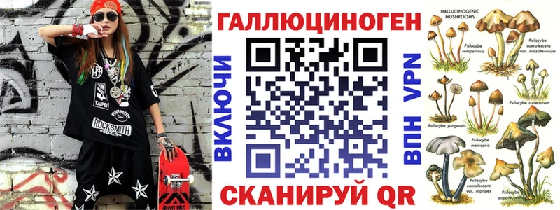 купить   Саяногорск  Псилоцибиновые грибы Cubensis 